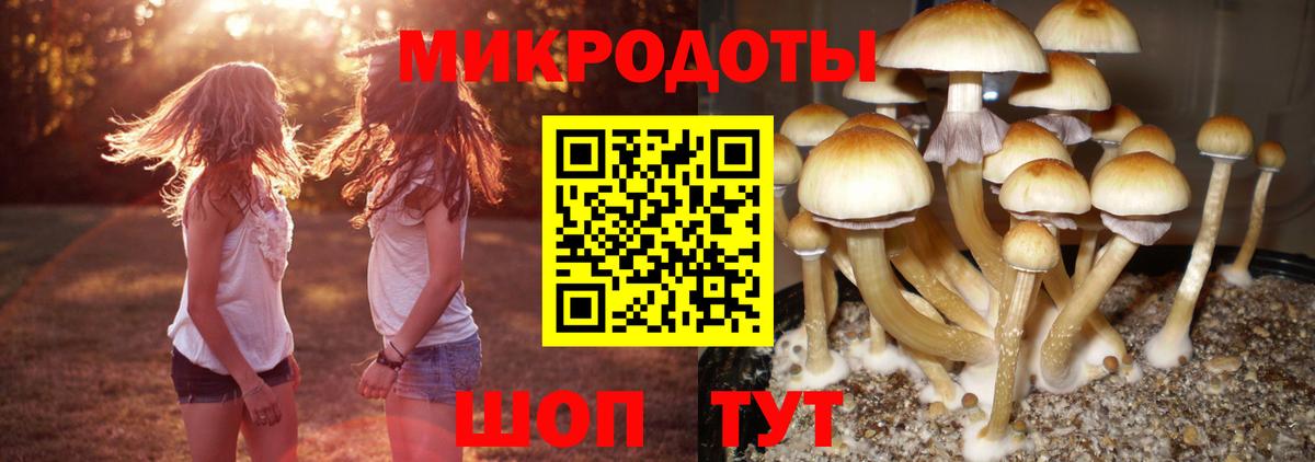 Галлюциногенные грибы мухоморы  Псилоцибиновые грибы мицелий  Татарск  Вход с VPN 